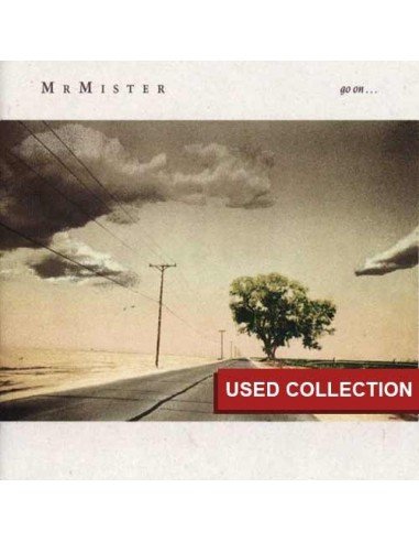 Mr. Mister  - Go On...