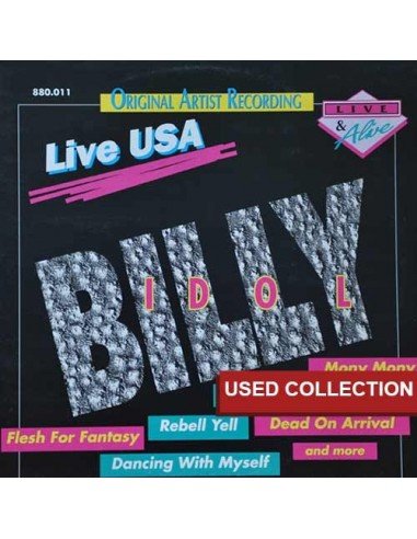 Billy Idol - Live USA