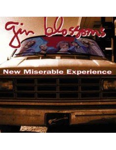 Gin Blossoms -  New Miserable Experience