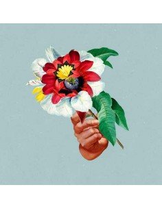 Maribou State - Kingdoms in Colour (limited edition, turquoise vinyl)